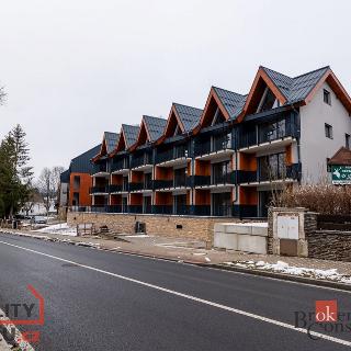 Prodej bytu 1+kk a garsoniéry 65 m² Železná Ruda, Javorská