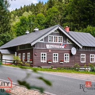 Prodej chalupy 358 m² Desná, Polubenská