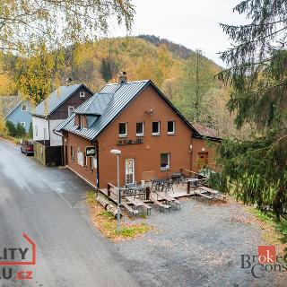 Prodej hotelu a penzionu 195 m² Český Jiřetín, 