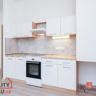 Pronájem bytu 2+kk 51 m² Mlékojedy, 