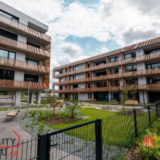 Pronájem bytu 1+kk a garsoniéry 29 m² Plzeň, Kartónová