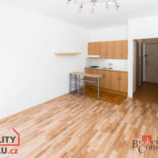 Pronájem bytu 1+kk, garsoniery 24 m² Praha