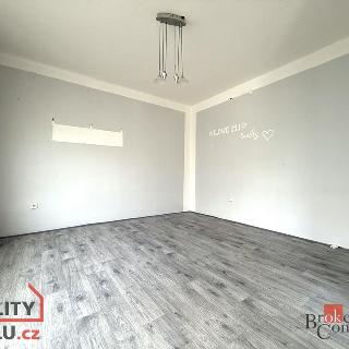 Prodej bytu 3+1 62 m² Jirkov, Osvobození