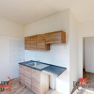 Prodej bytu 2+1 50 m² Jirkov, Osvobození