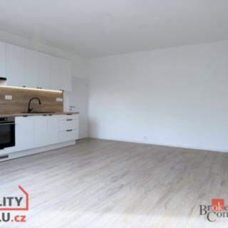 Pronájem bytu 1+kk, garsoniery 33 m² Opava