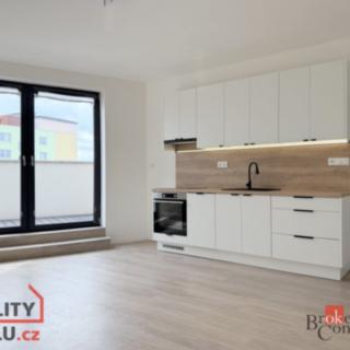 Pronájem bytu 1+kk a garsoniéry 33 m² Opava Kateřinky, Rolnická