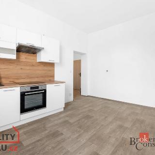 Pronájem bytu 1+1 48 m² Varnsdorf, Lidická