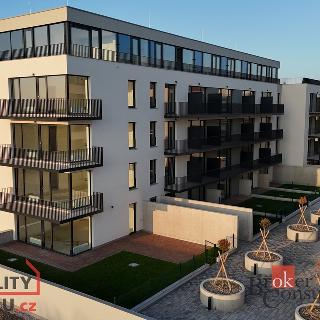 Prodej bytu 2+kk 69 m² Plzeň, Goldscheiderova