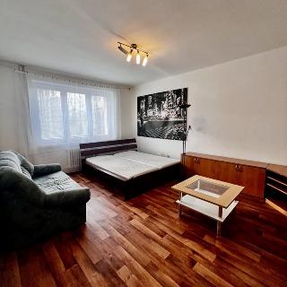 Pronájem bytu 1+1 38 m² Ostrava, Alžírská