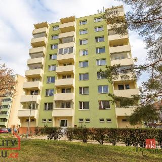 Prodej bytu 2+1 57 m² Znojmo, Palackého