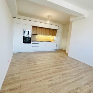 Pronájem bytu 1+kk a garsoniéry 31 m² Opava, Rolnická