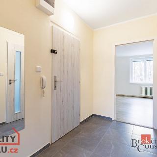 Pronájem bytu 2+kk 40 m² Brno, Synkova