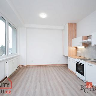 Pronájem bytu 2+kk 51 m² Mlékojedy