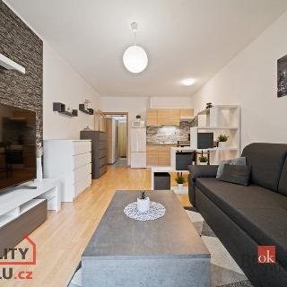 Pronájem bytu 1+kk a garsoniéry 31 m² Hradec Králové, Kejzlarova