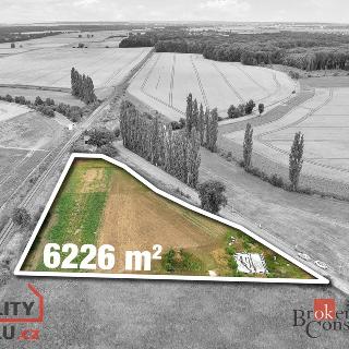 Prodej stavební parcely 6 226 m² Zachrašťany, 