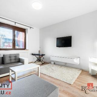 Prodej bytu 1+1 51 m² Ostrava, Elišky Krásnohorské