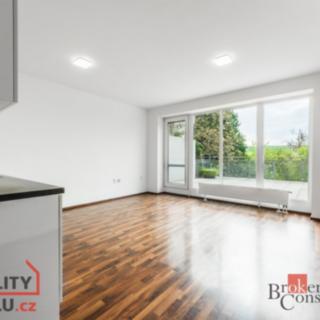 Pronájem bytu 1+kk, garsoniery 56 m² Brno