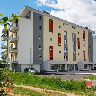 Prodej bytu 1+1 38 m² Nová Role, Svobodova