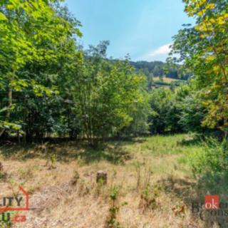Prodej stavební parcely 1161 m² Janov nad Nisou