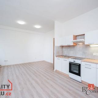 Pronájem bytu 2+kk 51 m² Mlékojedy