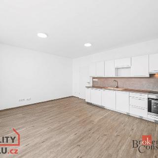 Pronájem bytu 1+kk a garsoniéry 42 m² Plzeň, Železná