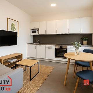 Pronájem bytu 1+kk, garsoniery 37 m&sup2; Světnov