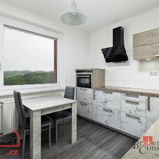 Pronájem bytu 2+1 60 m² Štěnovický Borek, 