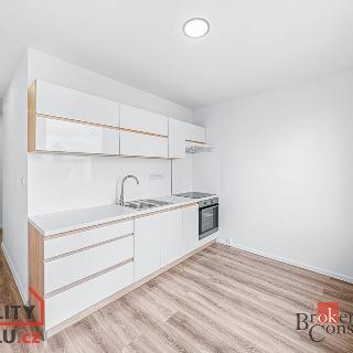 Pronájem bytu 3+1 69 m² Rokycany, Pivovarská