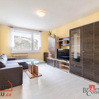 Pronájem bytu 1+1 43 m² Chrastava, Andělohorská