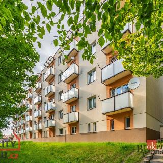 Prodej bytu 2+1 56 m² Hořice, Riegrova