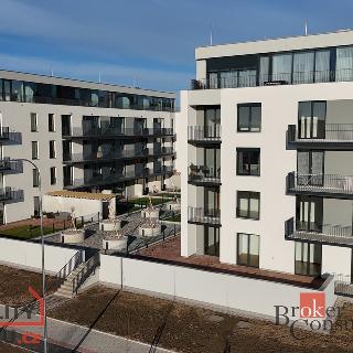 Prodej bytu 2+kk 69 m² Plzeň, Goldscheiderova