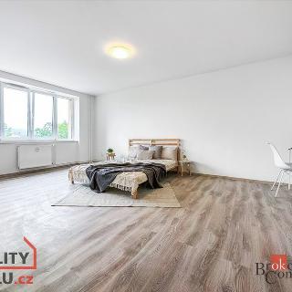 Prodej bytu 1+1 37 m² Ústí nad Labem, Purkyňova