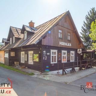 Prodej hotelu a penzionu 380 m² Rokytnice nad Jizerou, 