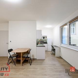 Pronájem bytu 1+kk a garsoniéry 42 m² Plzeň, Na Jíkalce