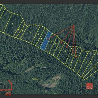 Prodej lesa 7 092 m² Česká Bříza, 