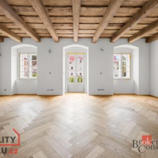 Prodej bytu 1+kk, garsoniery 72 m&sup2; Jince