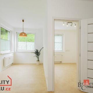 Prodej bytu 2+1 34 m² Lučany nad Nisou, 