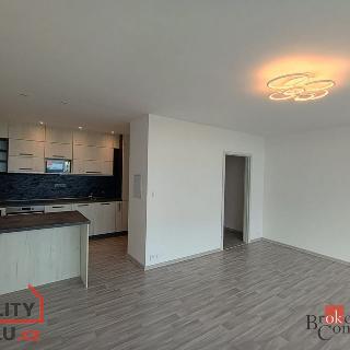 Prodej bytu 3+1 68 m² Chomutov, Kundratická