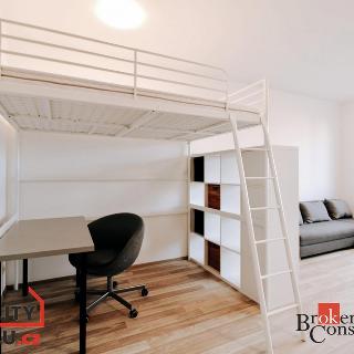 Pronájem bytu 1+kk a garsoniéry 35 m² Brno, Vranovská