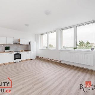 Pronájem bytu 1+kk a garsoniéry 34 m² Mlékojedy, 