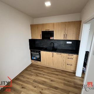 Pronájem bytu 2+1 44 m² Opava, Černá