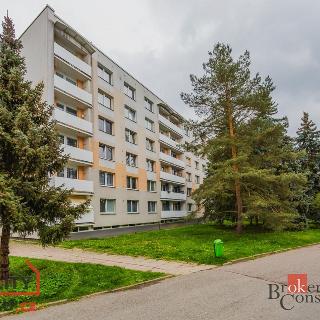 Pronájem bytu 3+1 82 m² Rychnov nad Kněžnou, Sokolovská