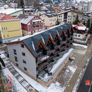 Prodej bytu 1+kk a garsoniéry 81 m² Železná Ruda, Javorská