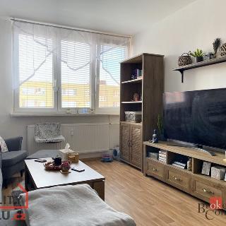 Pronájem bytu 2+1 55 m² Opava, Liptovská