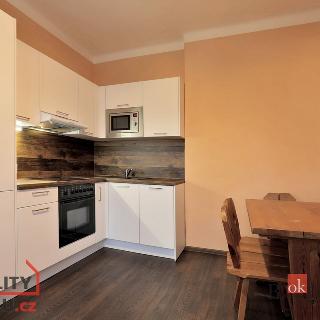 Prodej bytu 1+1 39 m² Karlovy Vary, Borová