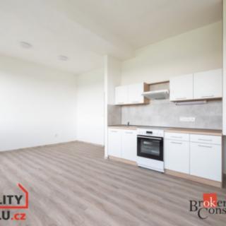 Pronájem bytu 3+kk 66 m² Mlékojedy