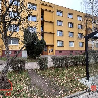 Prodej bytu 1+1 38 m² Žatec, Husova