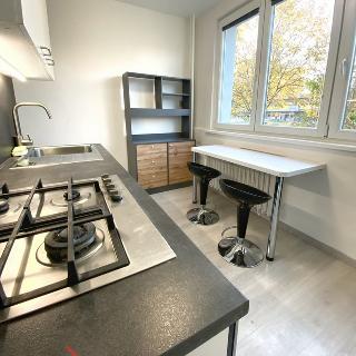 Pronájem bytu 2+1 55 m² Ostrava, Výškovická