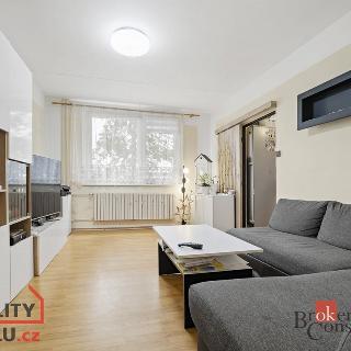 Prodej bytu 3+1 73 m² Břeclav, U Splavu