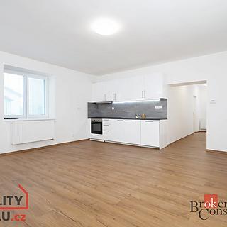 Prodej bytu 2+kk 55 m&sup2; Ostrava